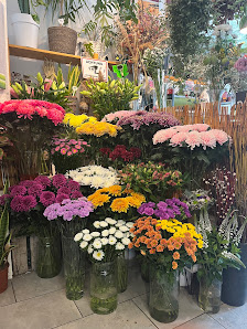 Kölner Blumen