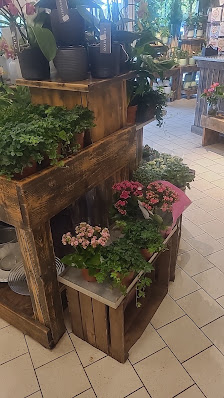 flora-point Blumenshop GmbH