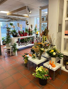 Gartenbau Terhorst