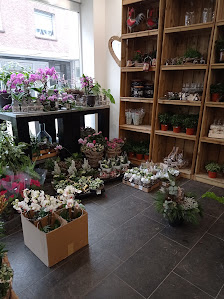 Elyon Blumen