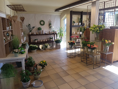 Blumenhaus Niederfranke