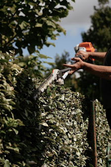 Jung & Fleissig GaLabau / Gartenservice