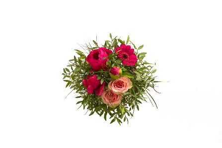 Blumen Risse GmbH & Co. KG