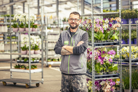 Blumen Risse GmbH & Co. KG