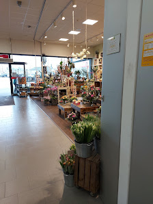 flora-point Blumenshop GmbH
