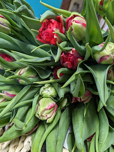 BLUMEN Astrid Vieten Hückelhoven