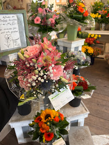 Blumen Krimp Inh. Andreas Steins