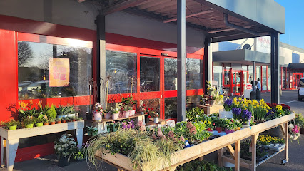 Meander Blumenladen Erkelenz