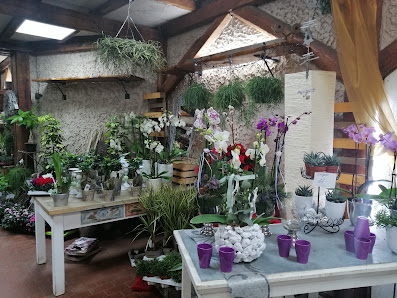Blumen Krimp Inhaber Andreas Steins