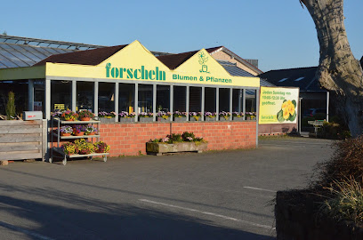 Blumen Forscheln