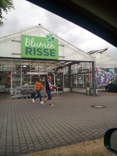 Blumen Risse Blumenmarkt Heinsberg