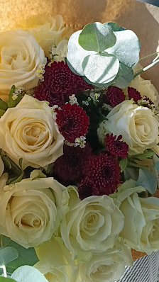 Rosen Lenzen