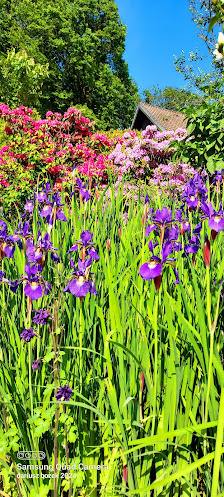 Ute Leimbach Blumenschmuck & Dekorationen