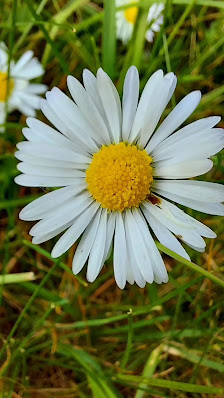 Ute Leimbach Blumenschmuck & Dekorationen