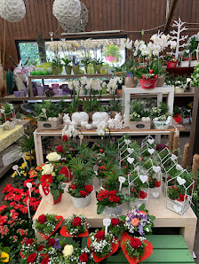 Blumen Hoogland
