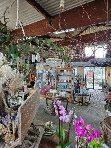 Blumenbindewerkstatt Markus Jansen