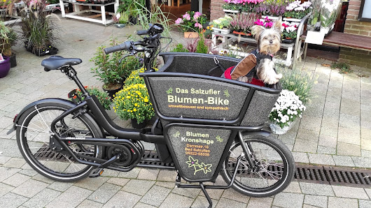 Blumen Kronshage - Lieferservice - Salzufler-Blumenabo - Salzufler Blumen-Bike