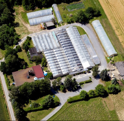 Gärtnerei Stahl Exter