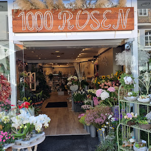 1000 Rosen Karolina Seiffert