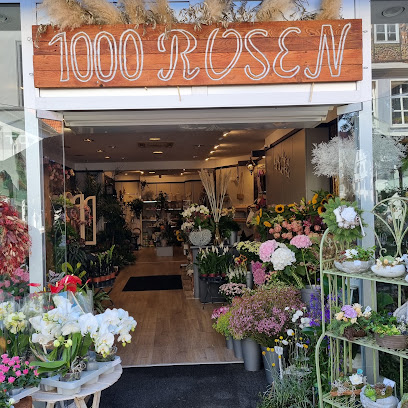 1000 Rosen Karolina Seiffert