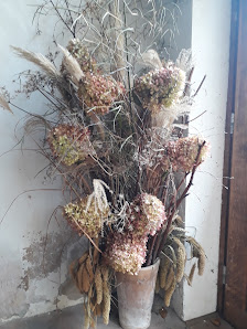 Blumen und Floristik von Anne