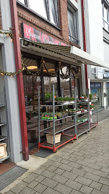 Blumen Rosengarten