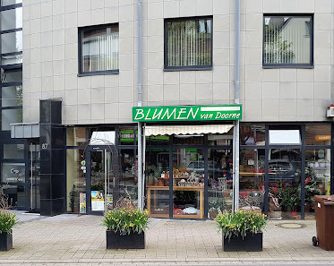 Blumen van Doorne