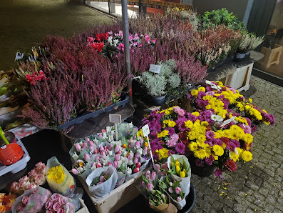 Blumen und Pflanzen Inh. Bach
