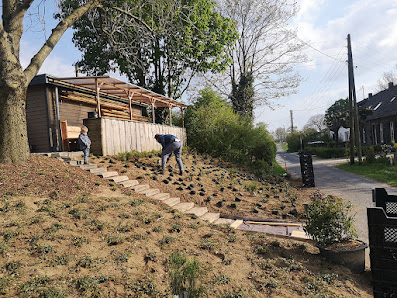 Garten- und Landschaftspflege Martin Ebbers