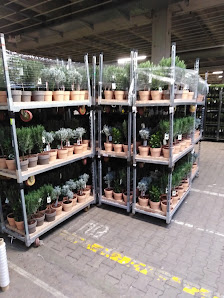 Landgard Blumen & Pflanzen GmbH