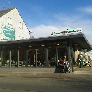 Blumen Rankers