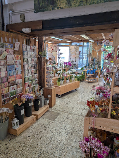 Blumen Rankers