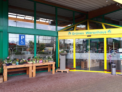 Grünes Warenhaus - Peter Thielen