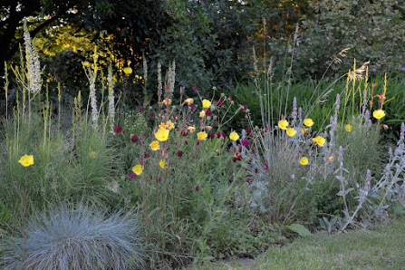 Garten-/Landschaftsbauunternehmen Garten Gröne