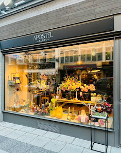 Apostelblüte
