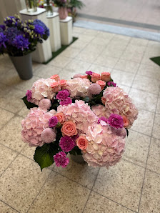 BLUMENHAUS BEDBURG