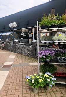Blumen Schneitler