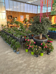 Gartenbau Welzel eGbR
