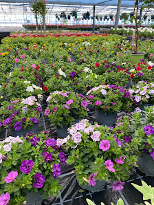 Gartenbau Welzel eGbR