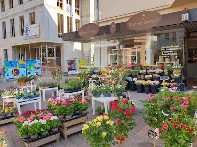 Blumen Osman Brühl