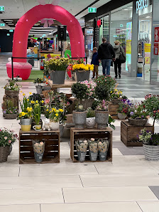 Floristikzauber Blumen & Geschenkartikel
