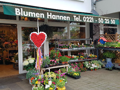 M. Hannen