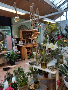 Blumen Grütters