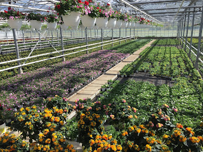 Gartenbau den Drijver