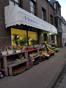Blumen Dahlmann