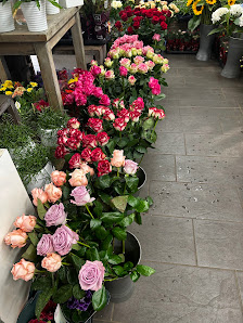 Blumen Dahlmann
