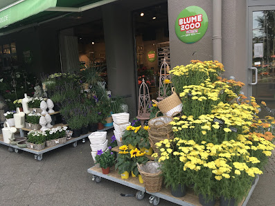 BLUME2000 Berlin Prenzlauer Allee