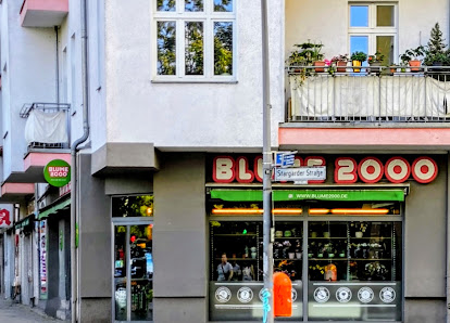 BLUME2000 Berlin Prenzlauer Allee