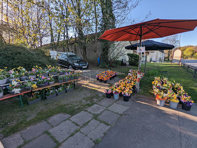 Blumen und Geschenke