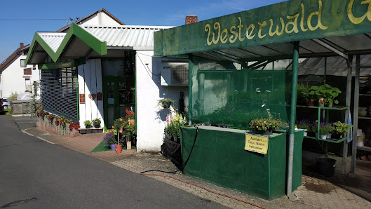 Westerwaldgärtnerei Blumen Rudolph